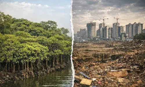 Save Ecology, Save Humanology : निसर्गाचा विध्वंस का करतोय आपण ?