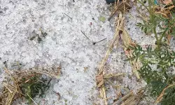 पुन्हा अवकाळी पाऊस आणि गारपीट : मराठवाड्यात सर्वाधिक नुकसान, दोन शेतकऱ्यांचा मृत्यू