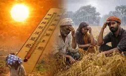 IMD rain alert : राज्यात 3 दिवस पावसाची शक्यता, गहू-हरभरा कापणीसाठी शेतकऱ्यांना अलर्ट !