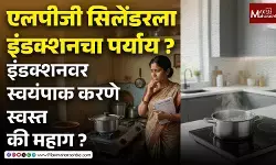 LPG vs इंदुकटीव : एलपीजी सिलेंडरला इंडक्शनचा पर्याय ? इंडक्शनवर स्वयंपाक करणे स्वस्त की महाग ? पाहा खर्चाचे पूर्ण गणित