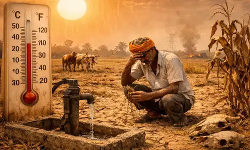 Heatwave in India : मार्चमध्येच उन्हाचा तडाखा: हवामान बदलाचा शेतीवर वाढता परिणाम