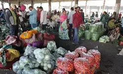 WPI Inflation February 2026 : महागाईचा विळखा घट्ट!