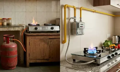 LPG vs PNG : सरकार PNG वापरावर भर का देत आहे? जाणून घ्या फायदे