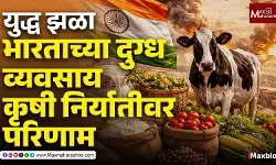 War Effects on Indias Dairy Industry : दूध संकट येणार? डेअऱ्यांकडे फक्त 10 दिवसांचा साठा !