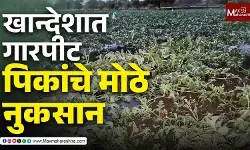 खांदेशातील जळगाव धुळे नंदुरबार जिल्ह्यात अवकाळी पडलेल्या पाऊस आणि गारपीट मुळे मोठं नुकसान झालं आहे.