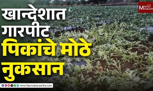 खांदेशातील जळगाव धुळे नंदुरबार जिल्ह्यात अवकाळी पडलेल्या पाऊस आणि गारपीट मुळे मोठं नुकसान झालं आहे.