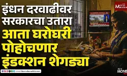 इंधन दरवाढीवर सरकारचा उतारा