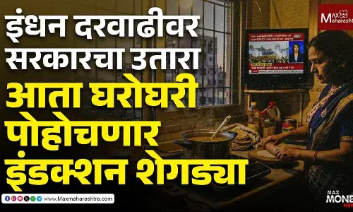 इंधन दरवाढीवर सरकारचा उतारा