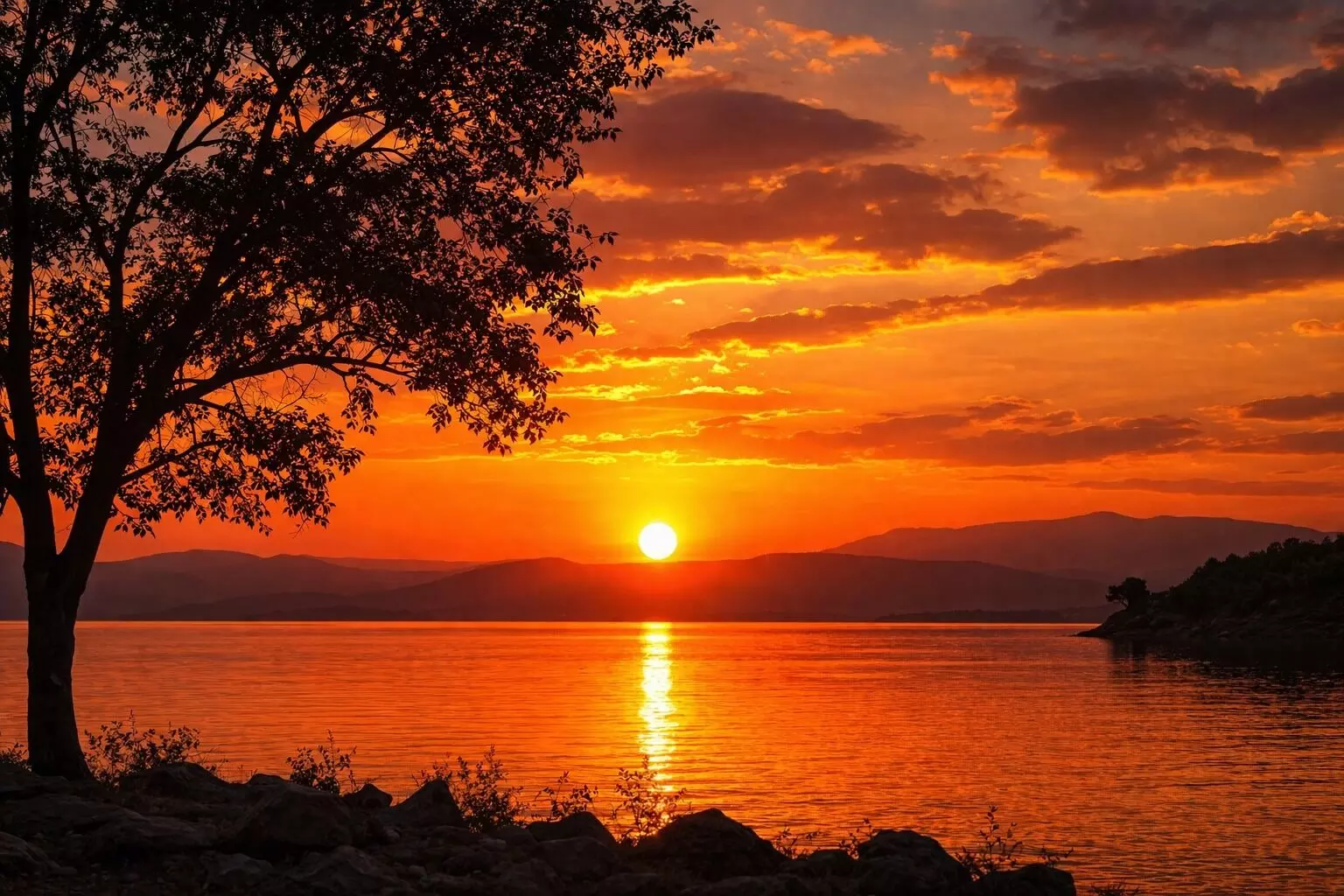 Forgiveness and peace : क्षमेच्या शांततेतून मिळणारी अंतिम मुक्ती !