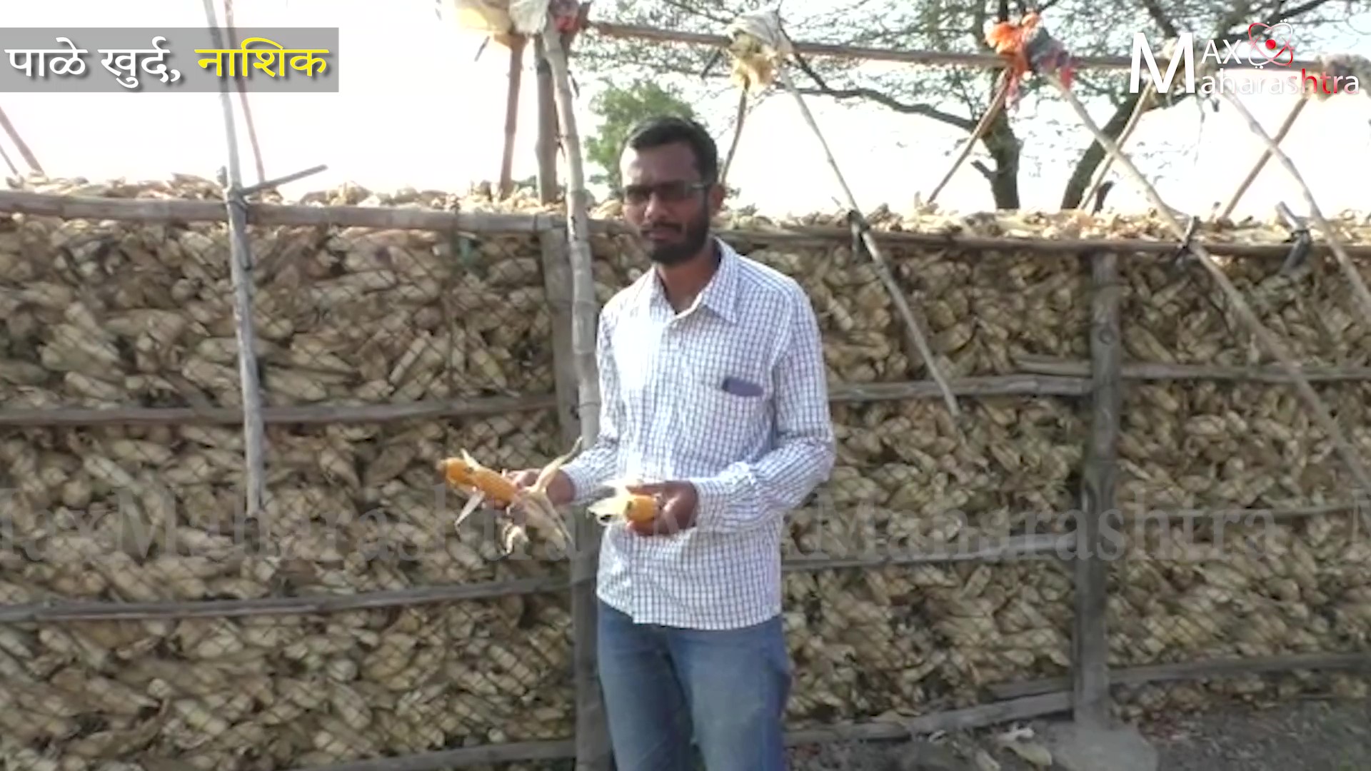 अबब...शेतकऱ्याला मिळाली केवढी नुकसान भरपाई?