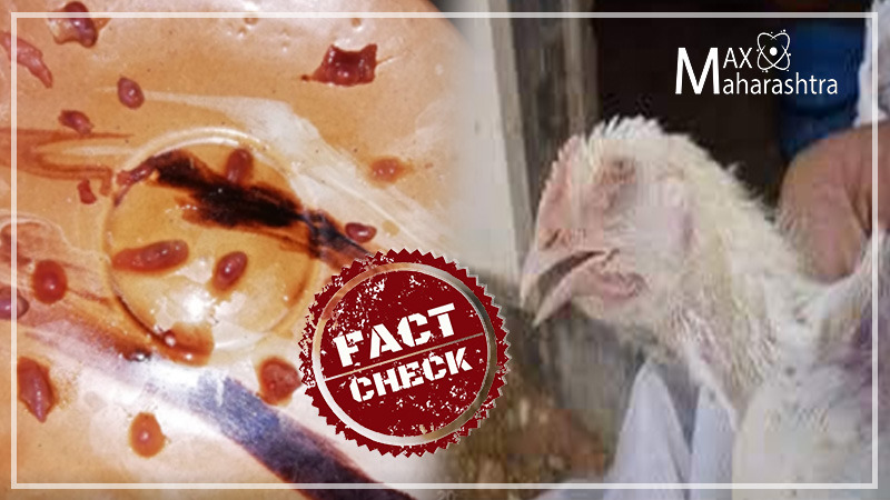 Fact Check | भारतातील बॉयलर चिकनमध्ये कोरोना व्हायरस?