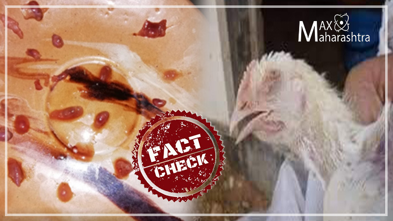 Fact Check | भारतातील बॉयलर चिकनमध्ये कोरोना व्हायरस? Fact Check | भारतातील बॉयलर चिकनमध्ये कोरोना व्हायरस?