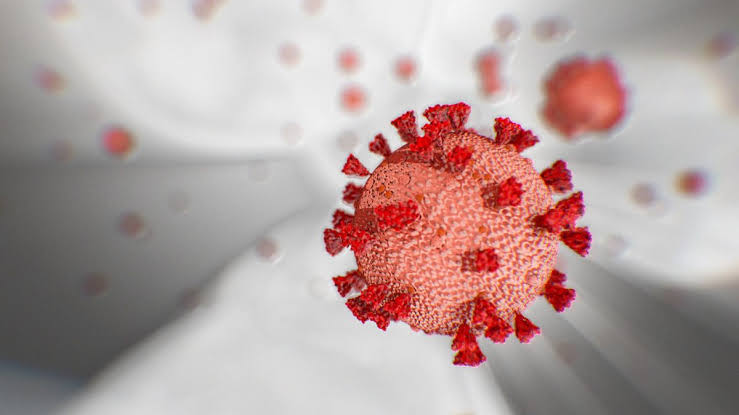 कोरोना व्हायरस जळगाव: भुसावळ मध्ये का वाढतायेत कोरोना चे रुग्ण?