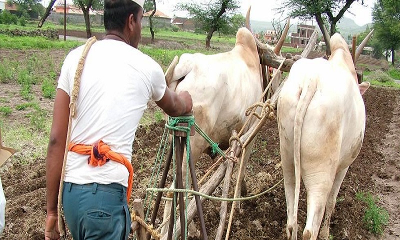 शेतकऱ्यांना कर्ज न देणाऱ्या बँकांवर होणार फौजदारी गुन्हे