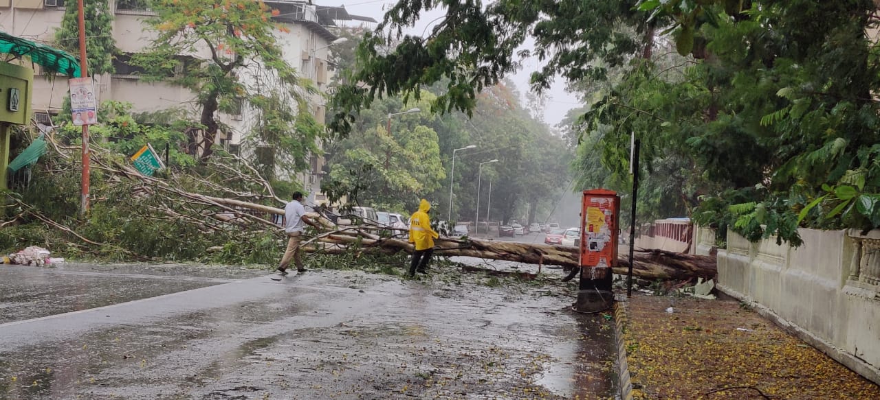 Nisarga Cyclone: पुढील 3 ते 4 तास निसर्ग चक्रीवादळ ‘या’ शहरांमध्ये
