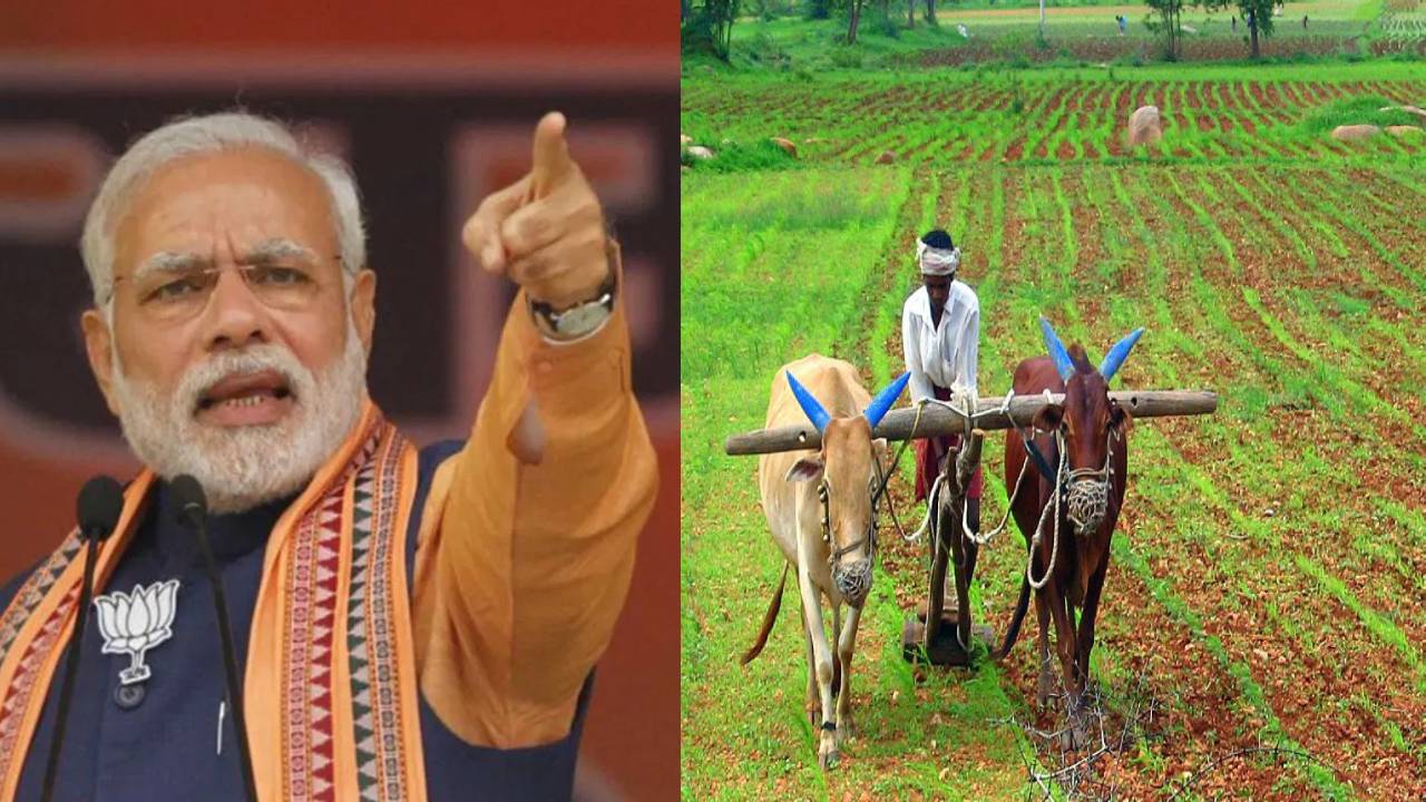 शेतकऱ्यांसाठी आडकाठी असलेला 50 वर्षापासूनच्या कायद्यात मोदींनी केला बदल, कायद्याची आडकाठी कायम! शेतकऱ्यांसाठी आडकाठी असलेला 50 वर्षापासूनच्या कायद्यात मोदींनी केला बदल, कायद्याची आडकाठी कायम!