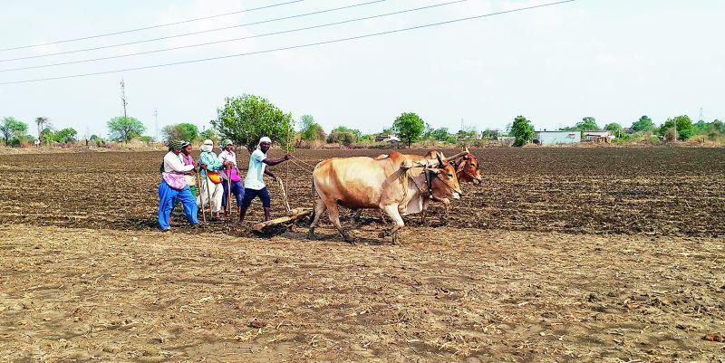 शेतकऱ्यांवर दुबार पेरणीची वेळ... जबाबदार कोण?