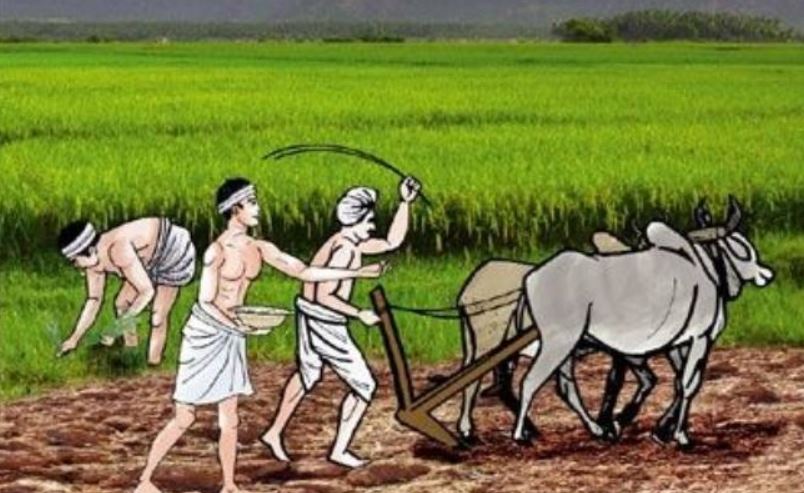 राज्यात आजपासून ‘कृषी संजीवनी सप्ताह’ राज्यात आजपासून ‘कृषी संजीवनी सप्ताह’