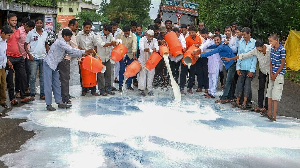 दूध दर वाढीचा प्रश्न पेटला, शेतकरी रस्त्यावर...