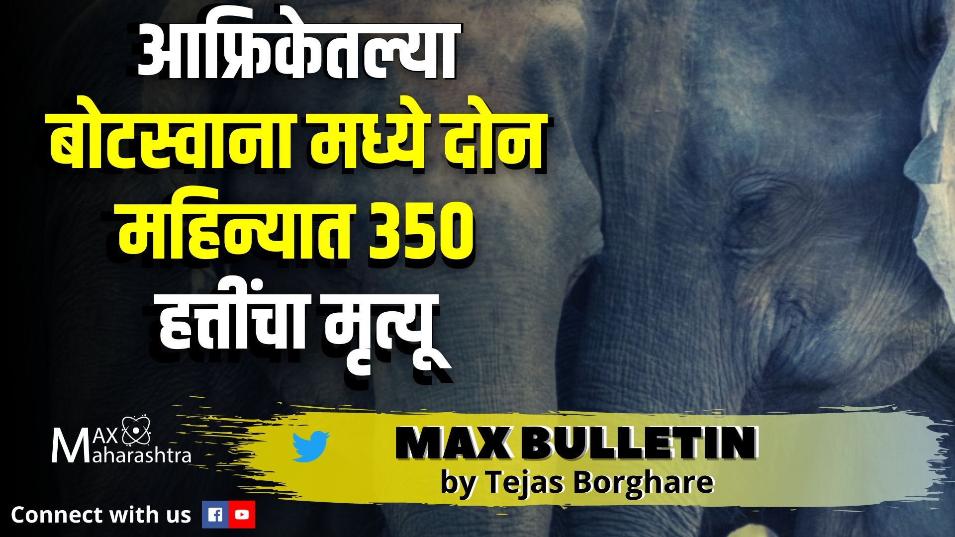 #MAX_BULLETIN आफ्रिकेतल्या बोटस्वाना मध्ये दोन महिन्यात 350 हत्तींचा मृत्यू ;भारत चीन सीमावाद : पंतप्रधान नरेंद्र मोदी लेहमध्ये; मॅक्स बुलेटीन!