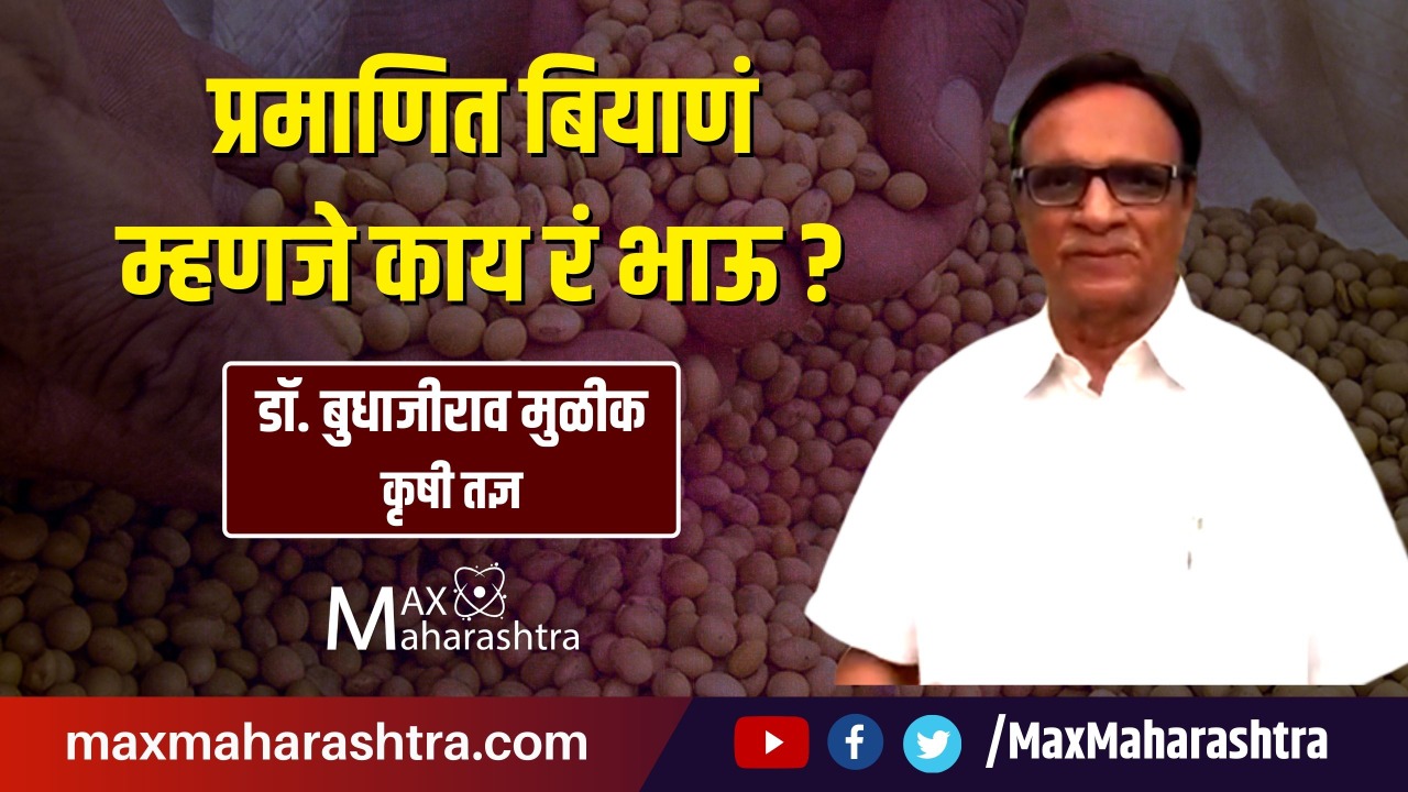 प्रमाणित बियाणं म्हणजे काय रं भाऊ?: बुधाजीराव मुळीक