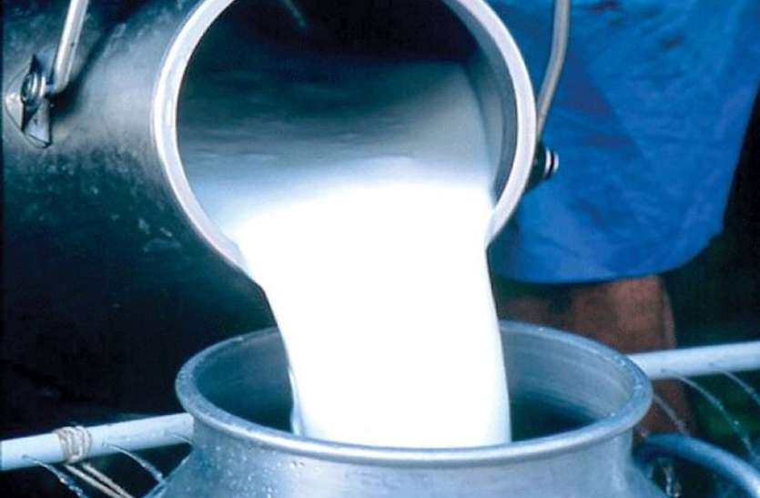 कर्नाटक प्रमाणे दूध उत्पादक शेतकऱ्यांना थेट अनुदान द्या: सत्यजीत देशमुख
