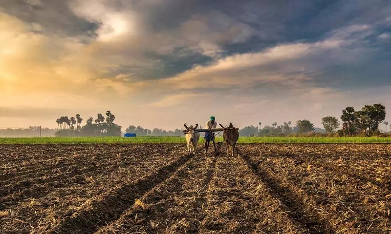 नवा शेतकरी कायदा