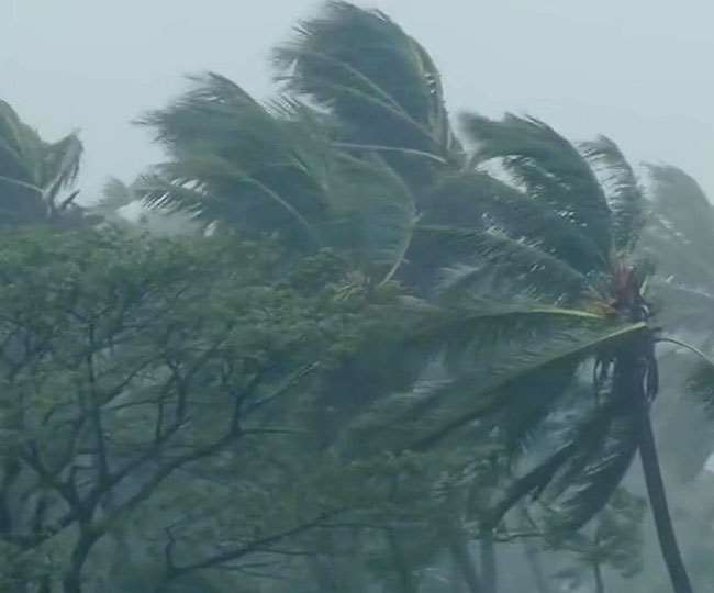 निसर्ग चक्रीवादळाने कोकणाला 10 वर्षे मागे नेलं