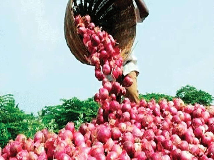 कांदा निर्यात बंदी: ...तर आत्महत्या वाढतील: गणेश पाटील कांदा निर्यात बंदी: ...तर आत्महत्या वाढतील: गणेश पाटील