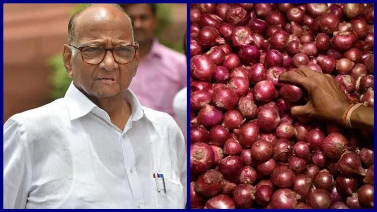 Onion Export Banned : तर पाकिस्तानचा फायदा होईल : शरद पवार Onion Export Banned : तर पाकिस्तानचा फायदा होईल : शरद पवार